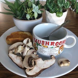 Vintage Mushroom Soup Recipe Mug